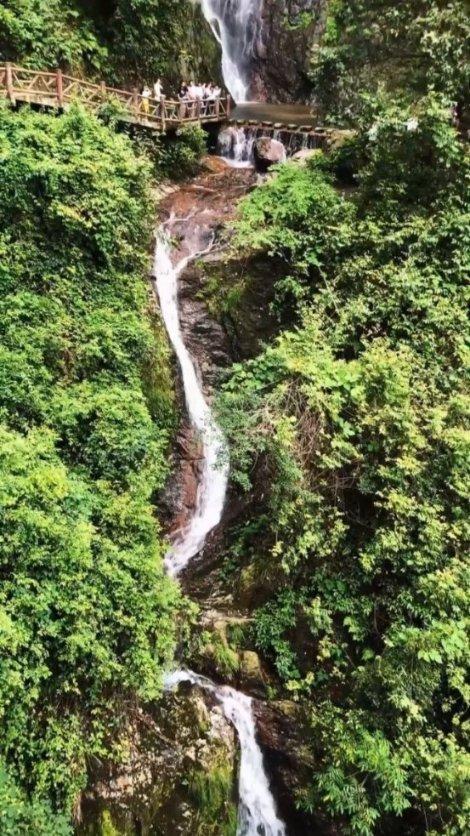 米乐米可森林大冒险